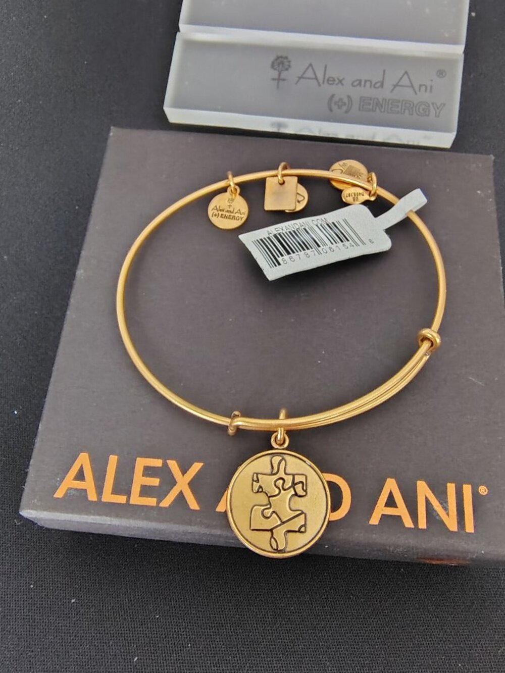 Alex and Ani Bangle Piece of the Puzzle 820